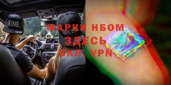 шишки Елизово