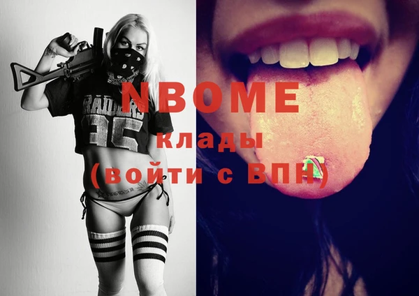 шишки Елизово