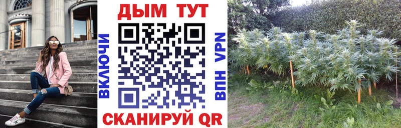 Шишки марихуана SATIVA & INDICA Зея